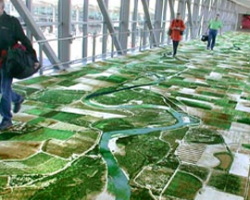Aerial image woven into Carpet