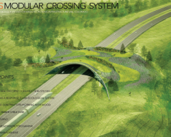 Building a Better Wildlife Freeway Crossing