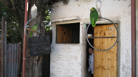 The Neighborhood that Isn't There