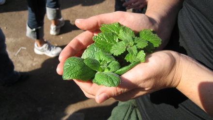 The Neighborhood that Isn't There